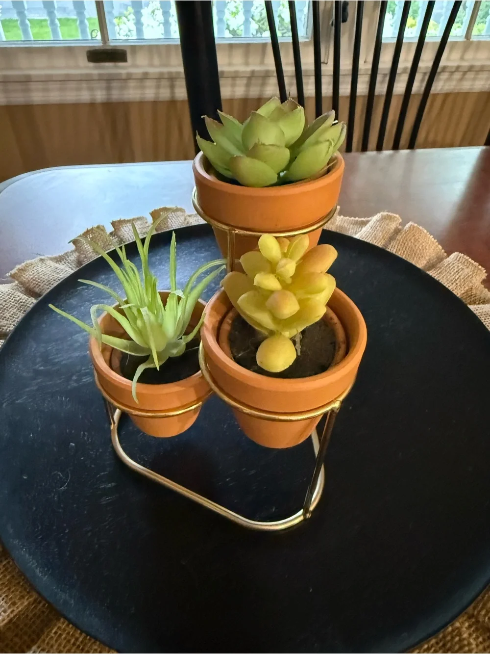 Terracotta Mini Succulent Trio with Gold Stand - Faux Green Plants